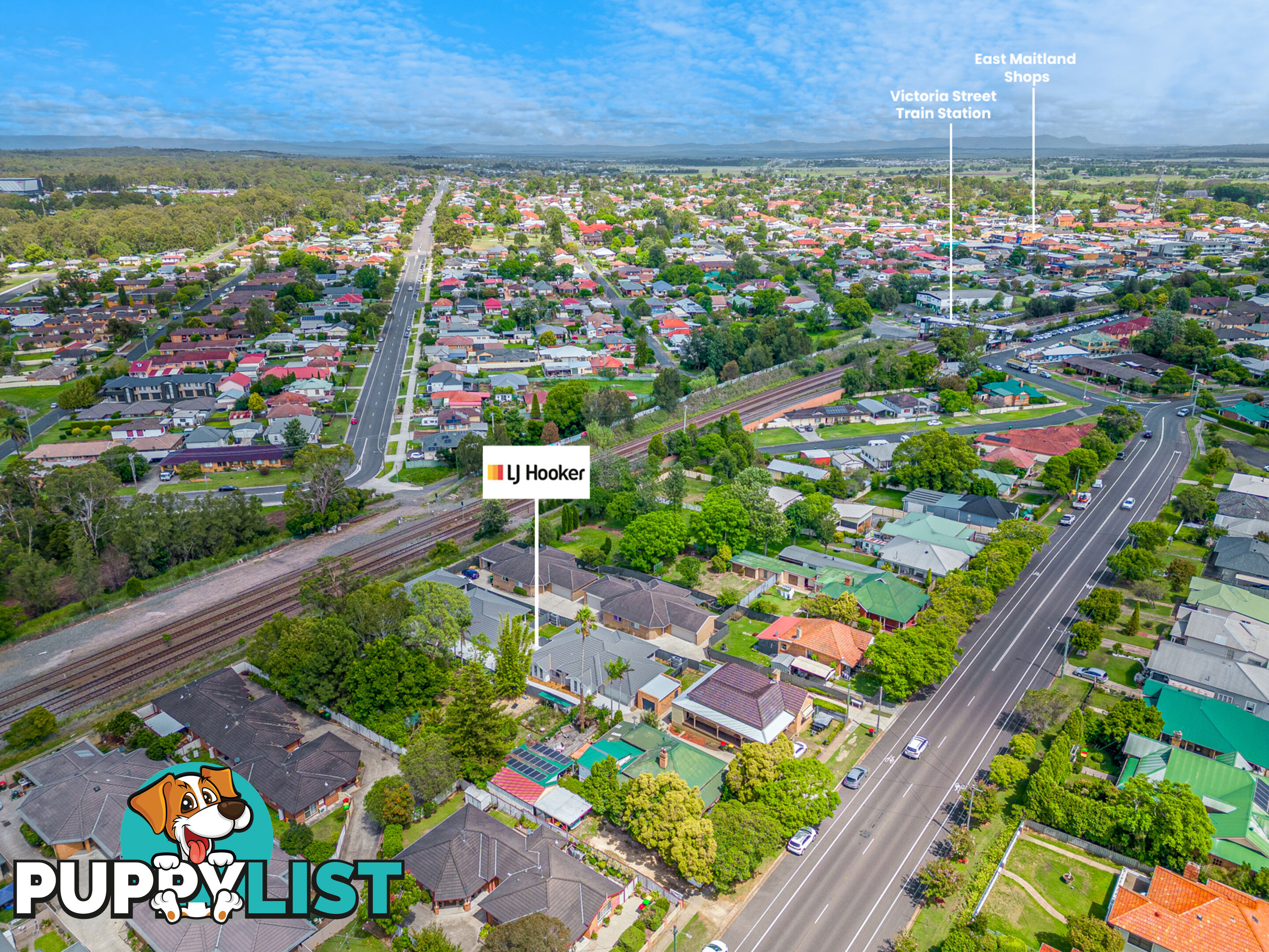 1/19a Raymond Terrace Road EAST MAITLAND NSW 2323