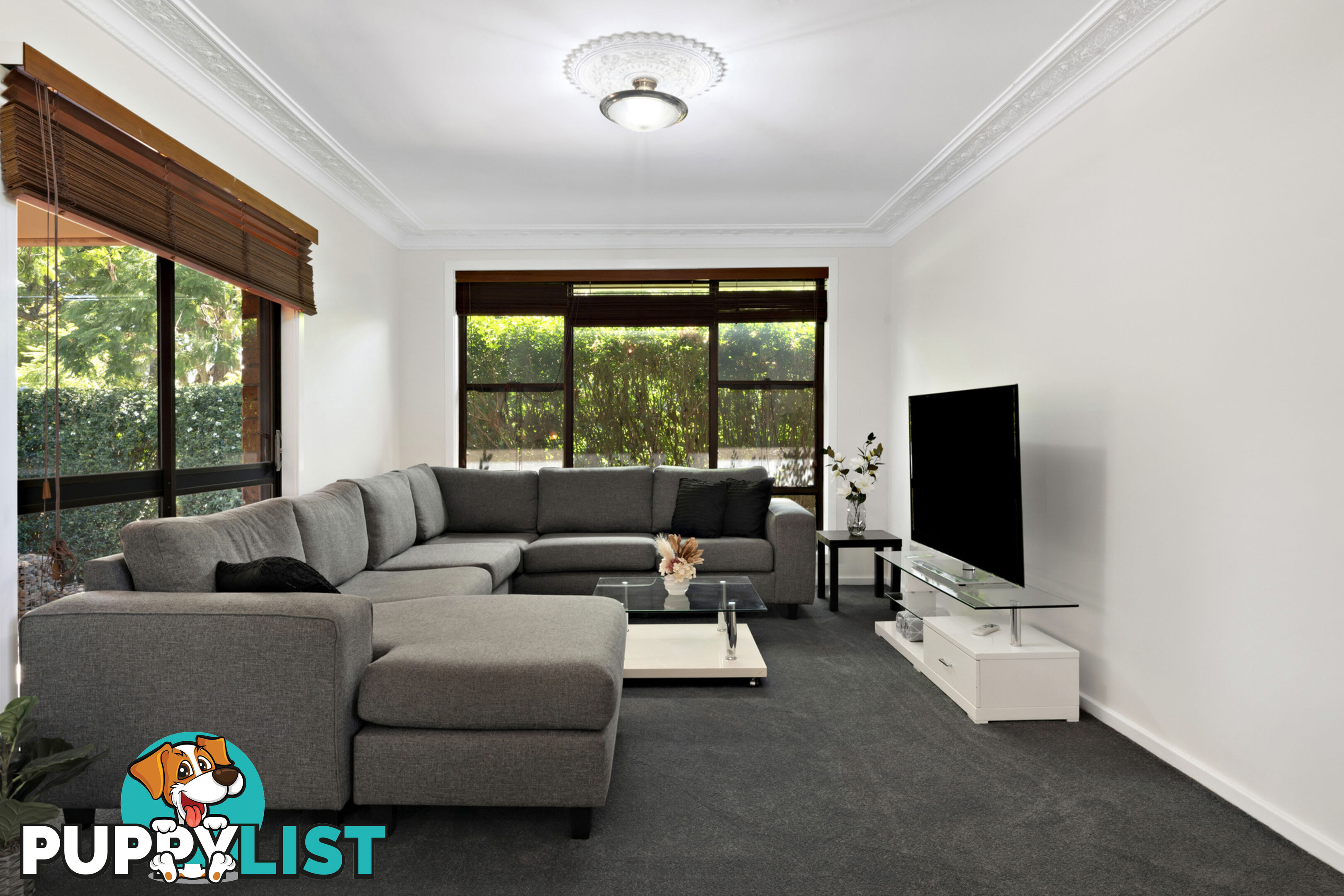 25 Lorn Street LORN NSW 2320