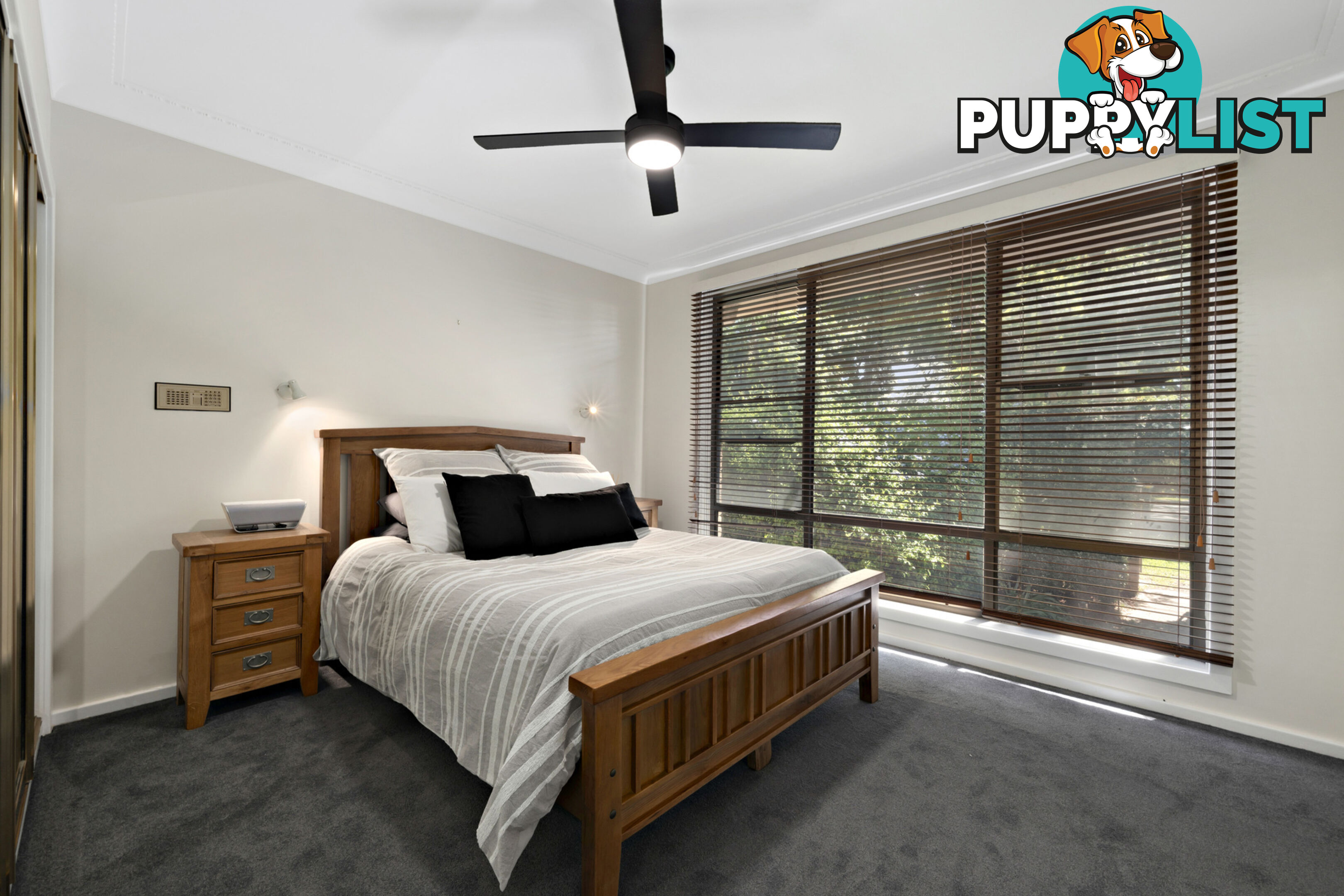25 Lorn Street LORN NSW 2320