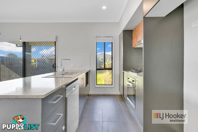 20 Tourmaline Drive RUTHERFORD NSW 2320
