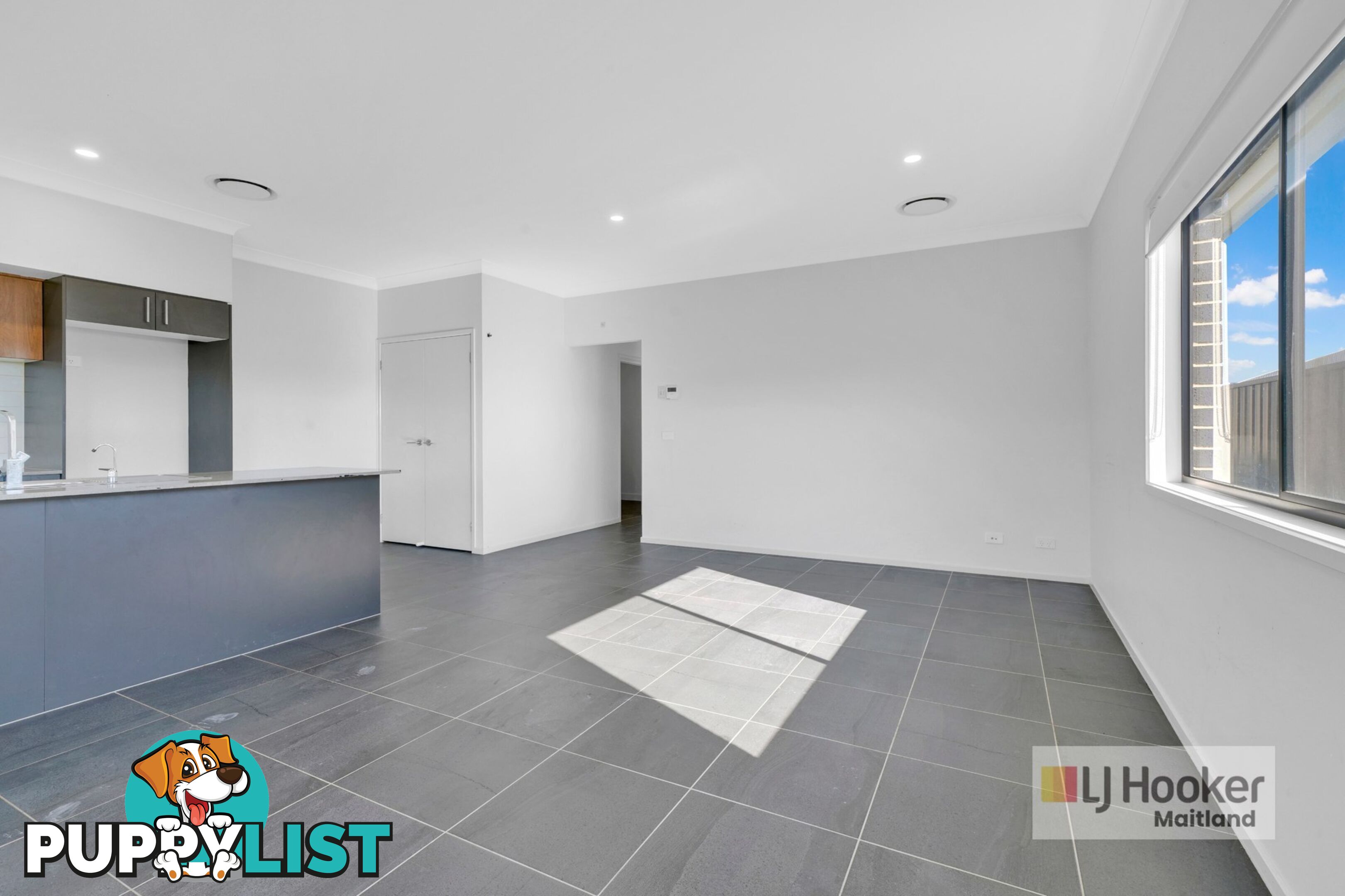 20 Tourmaline Drive RUTHERFORD NSW 2320