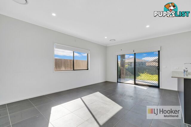 20 Tourmaline Drive RUTHERFORD NSW 2320