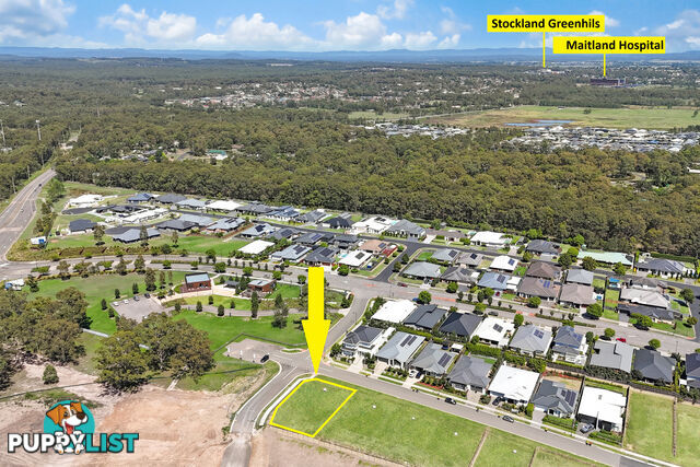 2 Silverwisp Road CHISHOLM NSW 2322