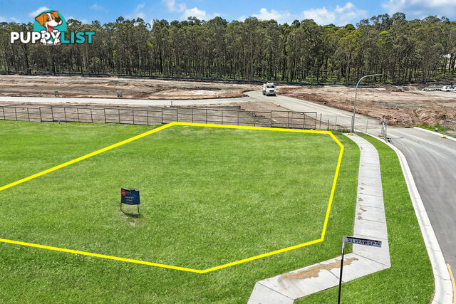 2 Silverwisp Road CHISHOLM NSW 2322