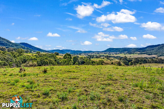 659A Lambs Valley Road LAMBS VALLEY NSW 2335