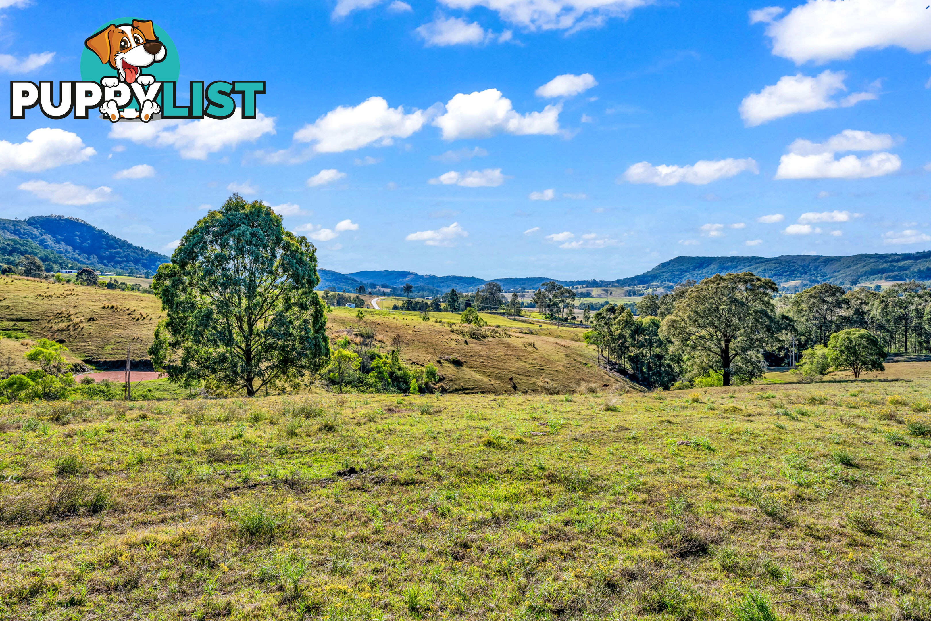 659A Lambs Valley Road LAMBS VALLEY NSW 2335