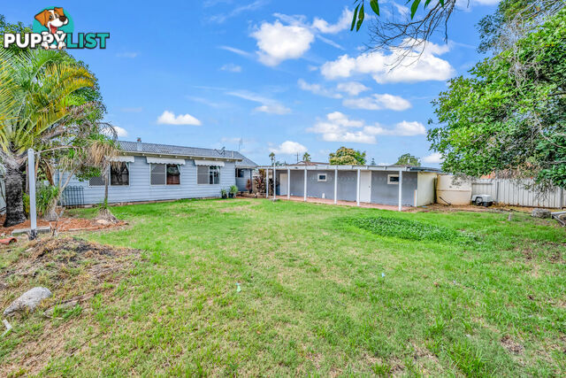 75 High Street WALLALONG NSW 2320