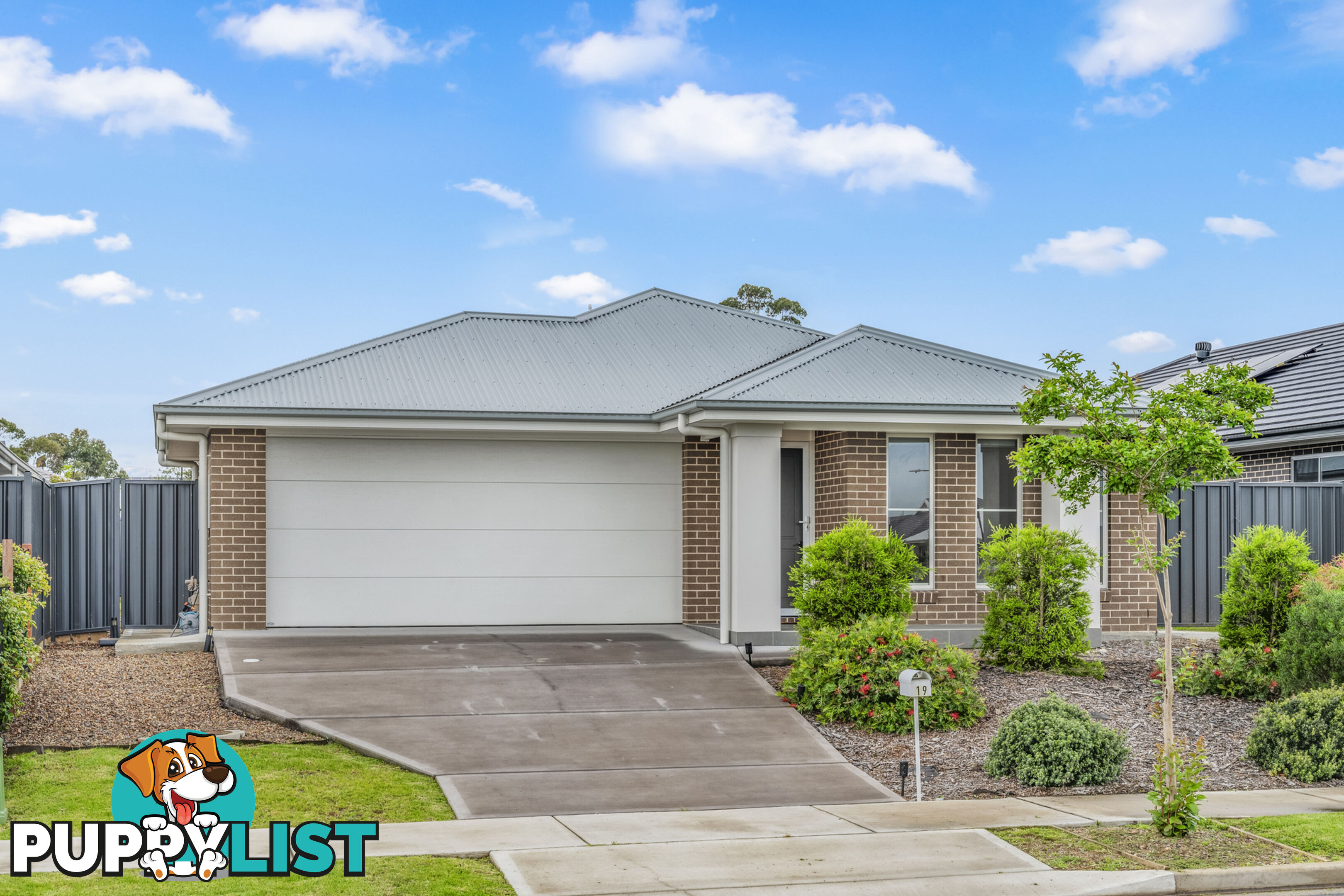 19 Springfield Drive LOCHINVAR NSW 2321