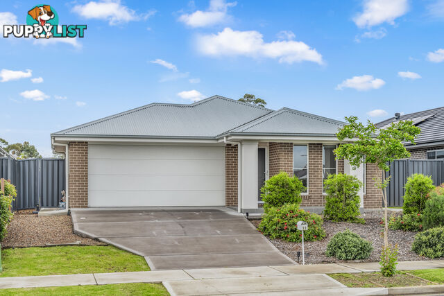 19 Springfield Drive LOCHINVAR NSW 2321