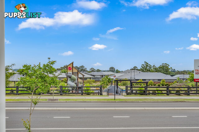 19 Springfield Drive LOCHINVAR NSW 2321