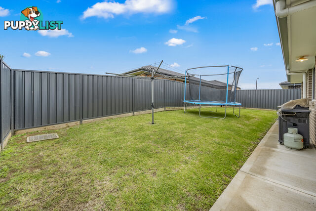 19 Springfield Drive LOCHINVAR NSW 2321