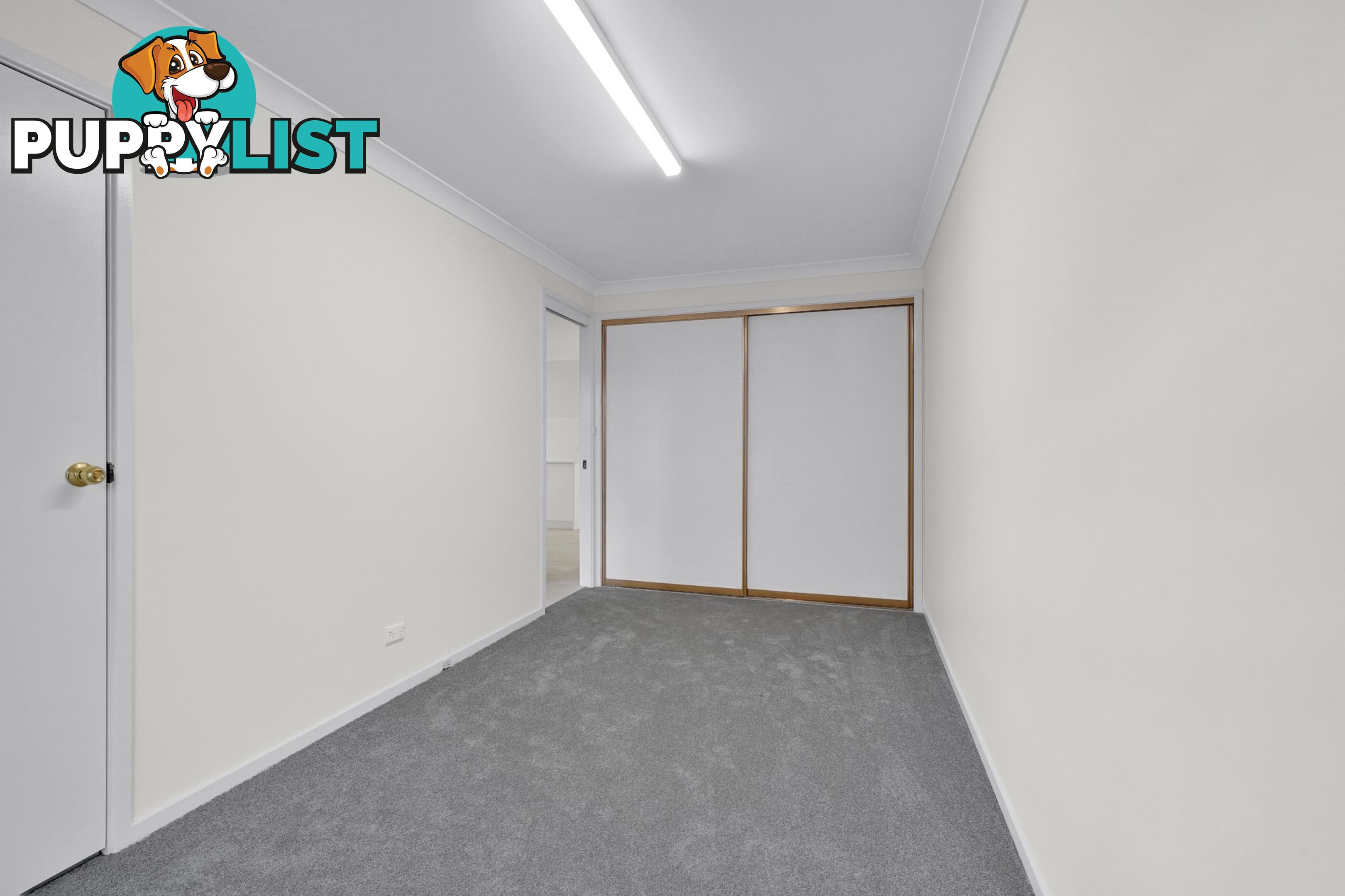 61 Belmore Road LORN NSW 2320