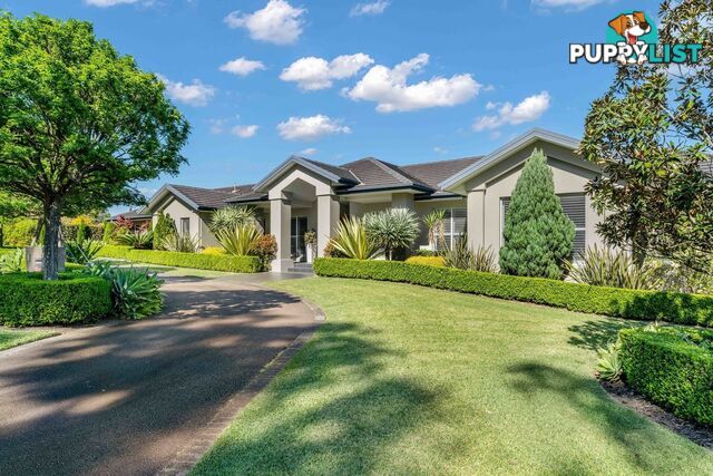 6 Gardenia Close BOLWARRA HEIGHTS NSW 2320