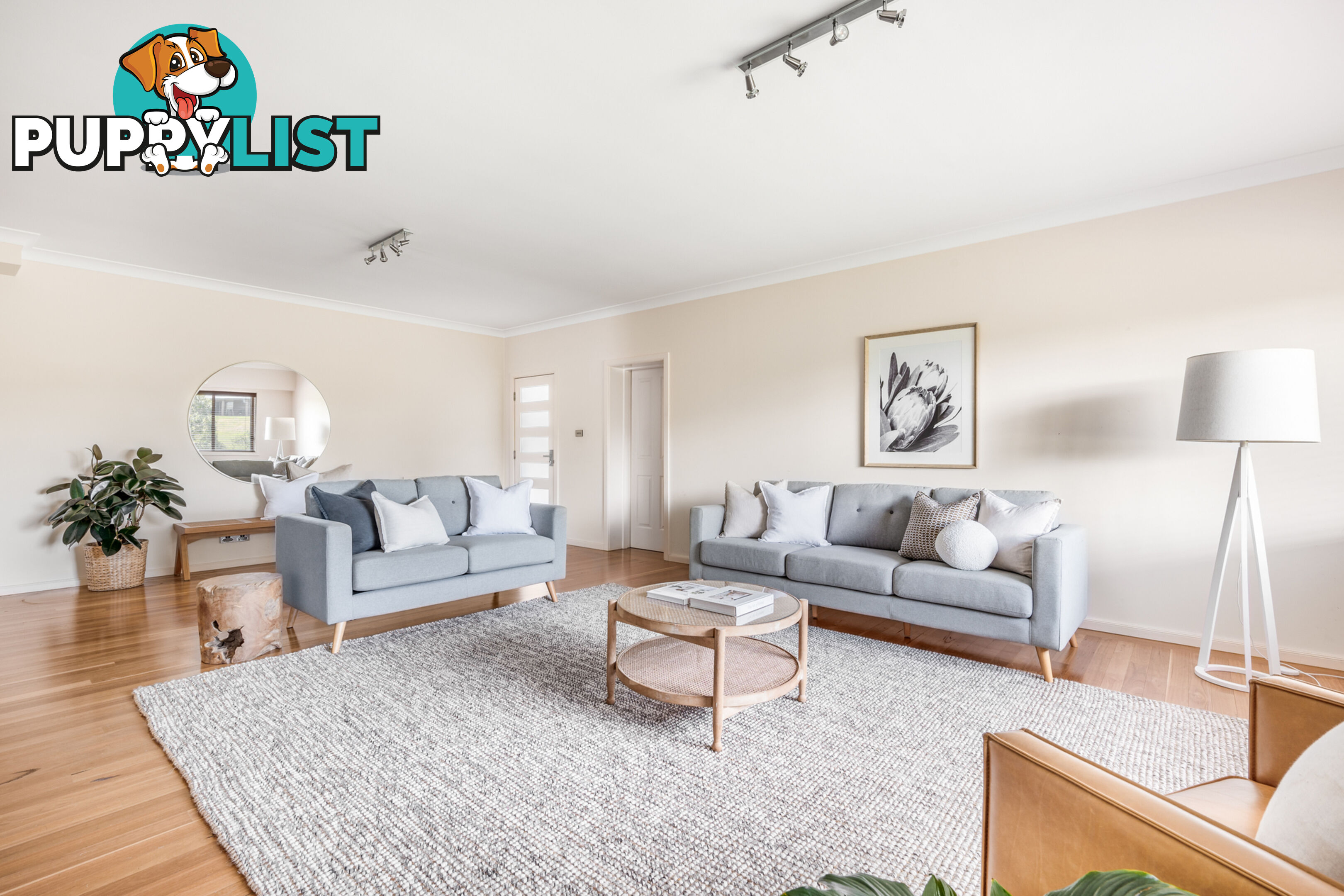 11 Spoonbill Close ABERGLASSLYN NSW 2320