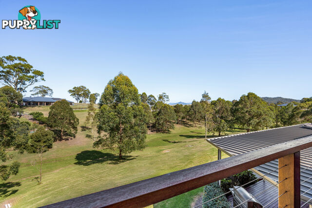 11 Spoonbill Close ABERGLASSLYN NSW 2320