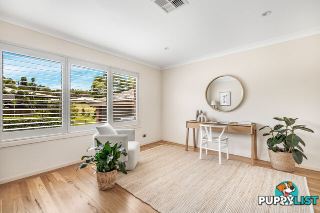 11 Spoonbill Close ABERGLASSLYN NSW 2320