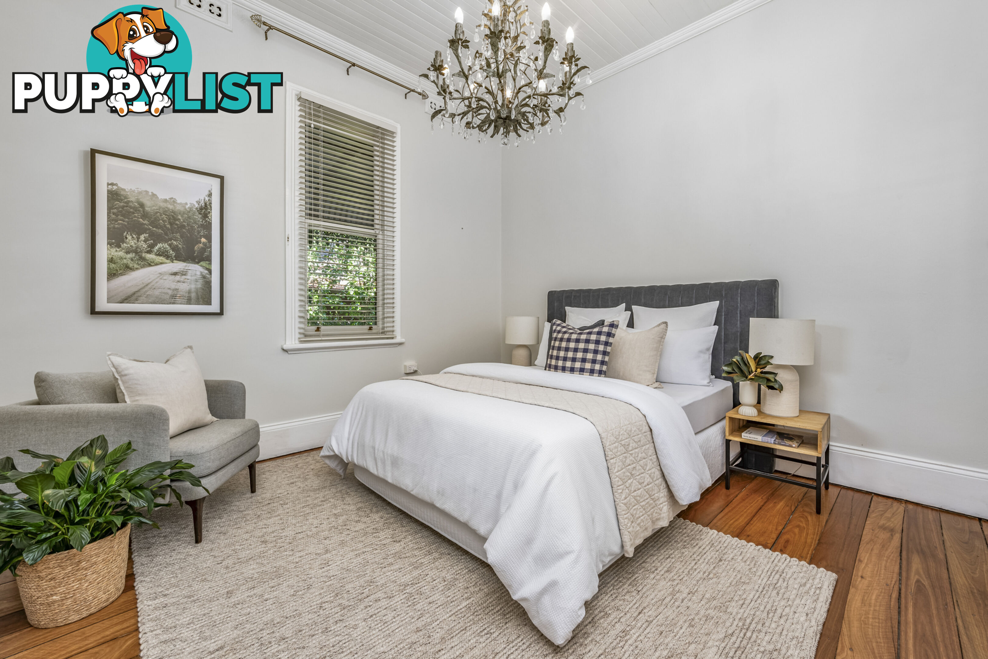 9 The Avenue LORN NSW 2320