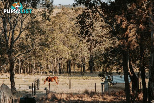 376 High Country Rise LAMBS VALLEY NSW 2335