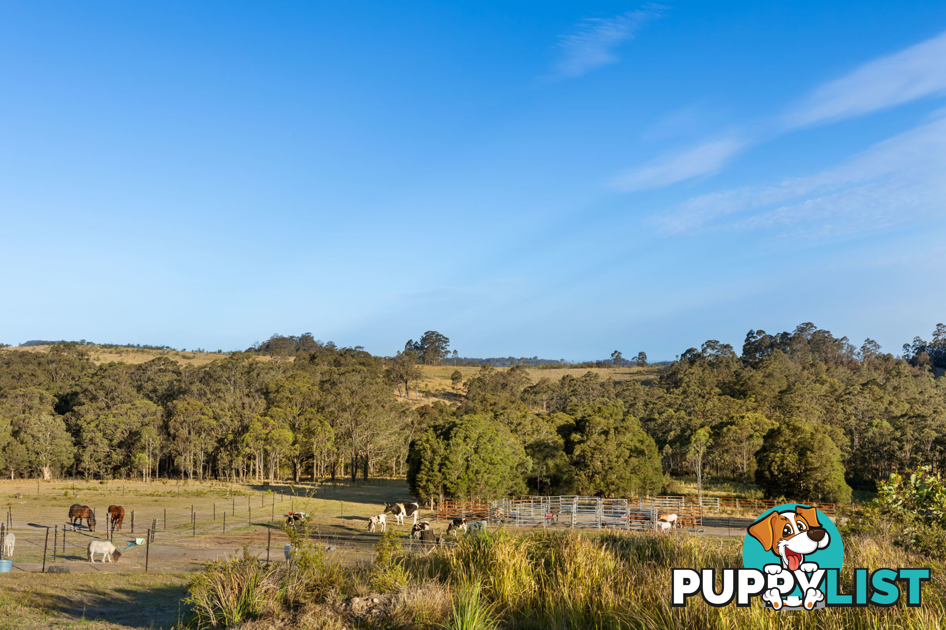 376 High Country Rise LAMBS VALLEY NSW 2335