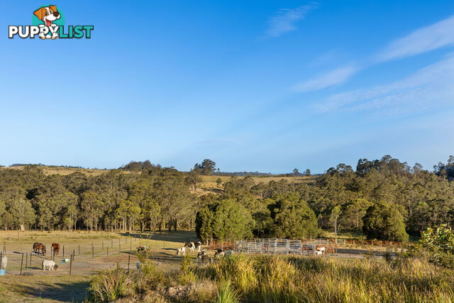 376 High Country Rise LAMBS VALLEY NSW 2335