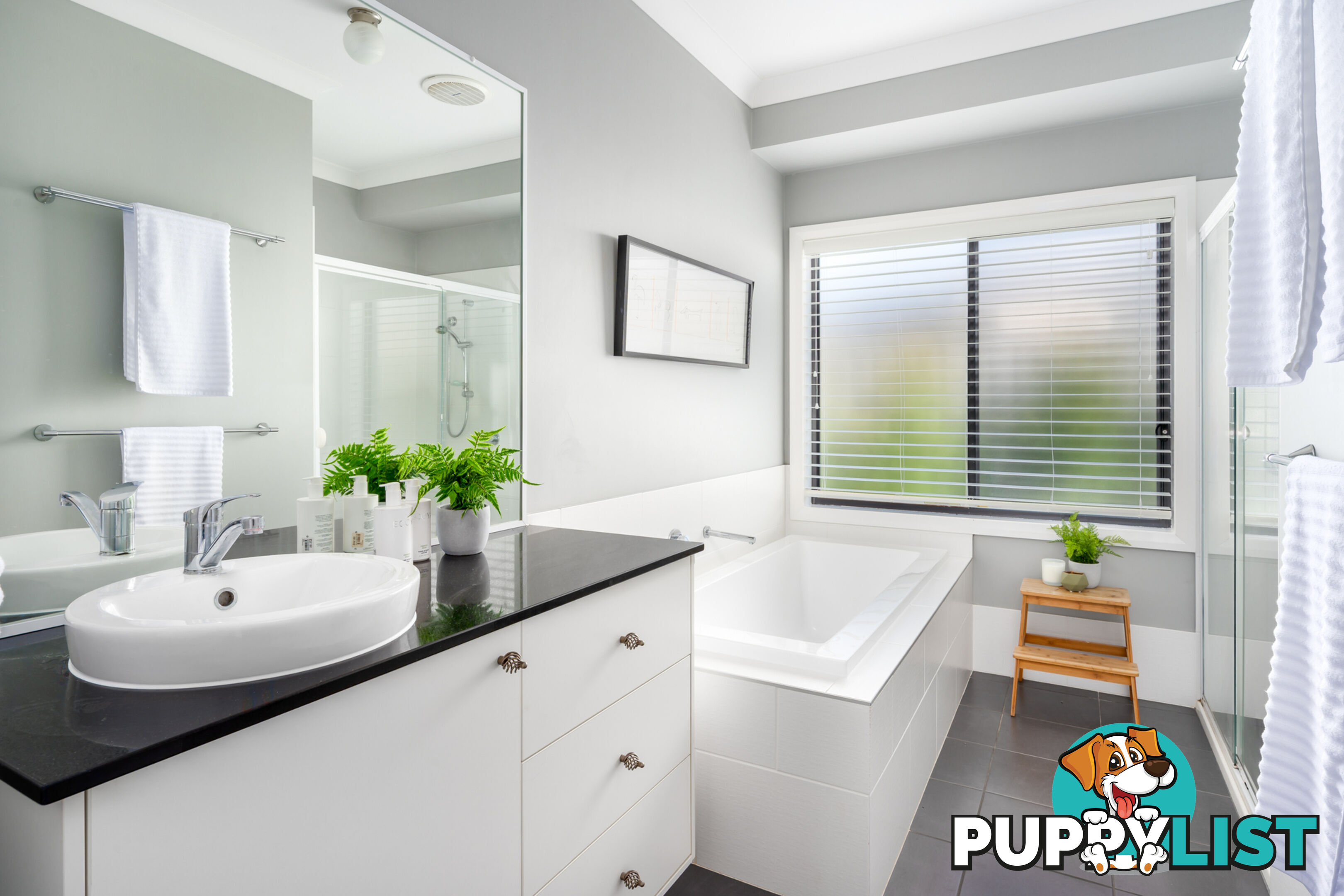 31 Carnarvon Circuit EAST MAITLAND NSW 2323