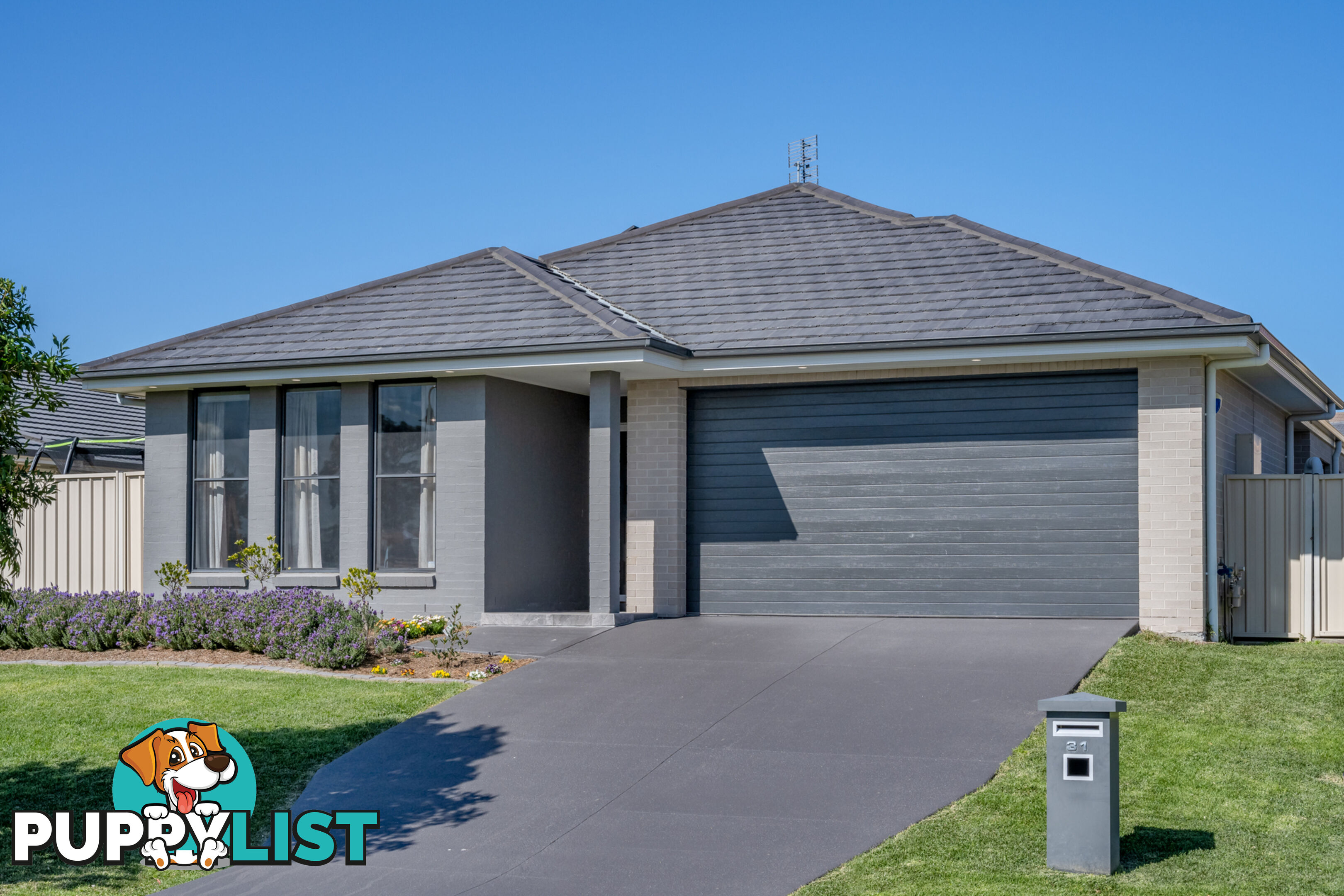 31 Carnarvon Circuit EAST MAITLAND NSW 2323