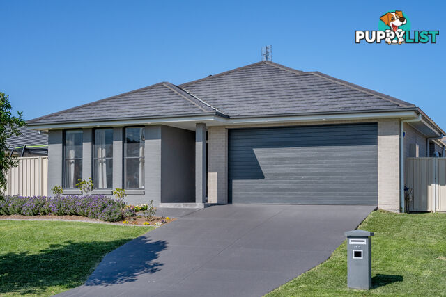 31 Carnarvon Circuit EAST MAITLAND NSW 2323