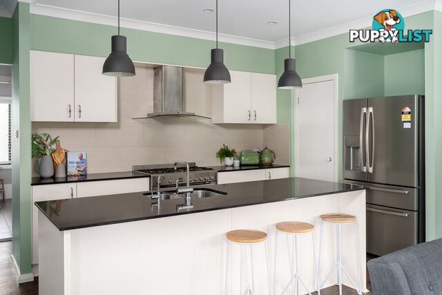 31 Carnarvon Circuit EAST MAITLAND NSW 2323
