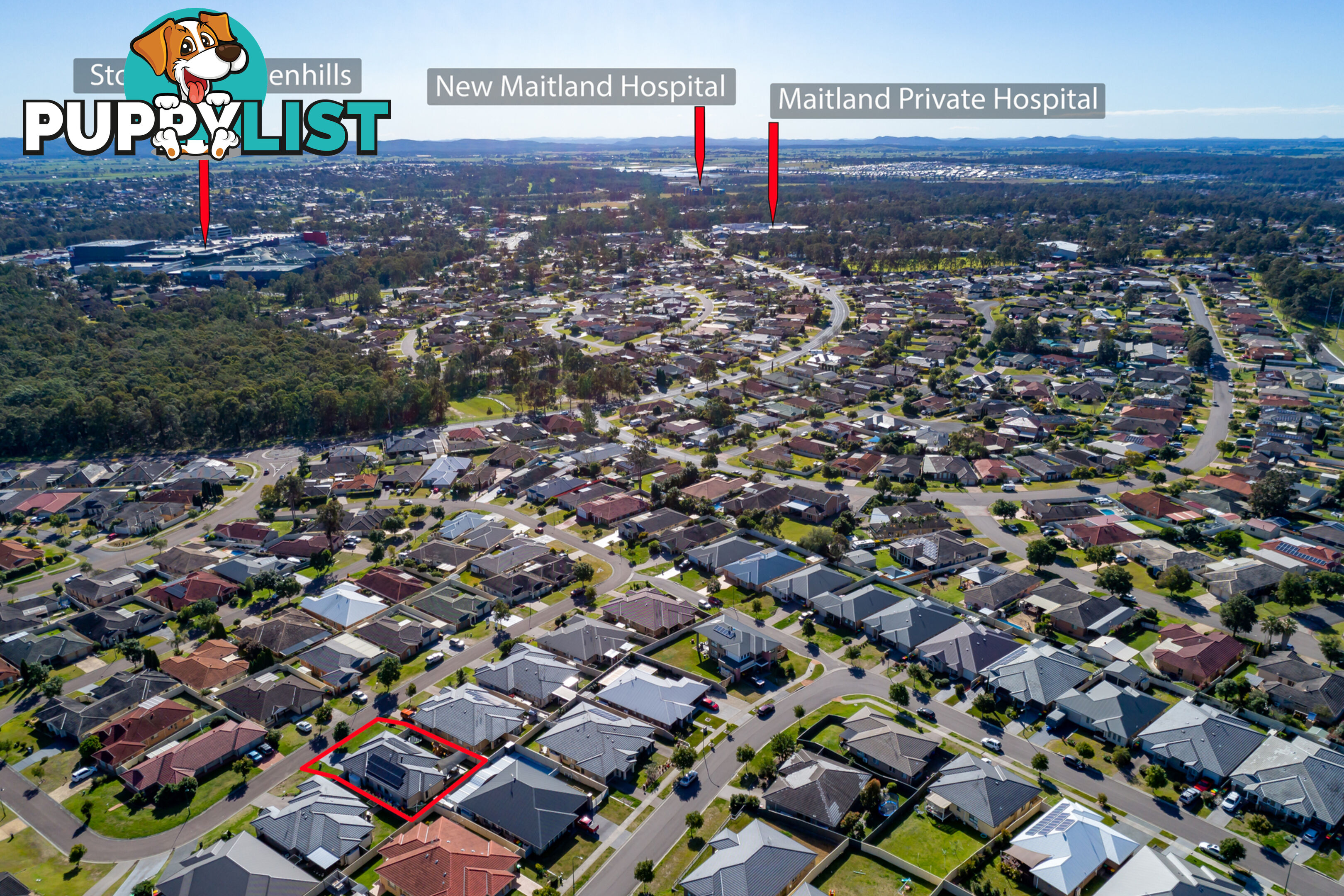 31 Carnarvon Circuit EAST MAITLAND NSW 2323