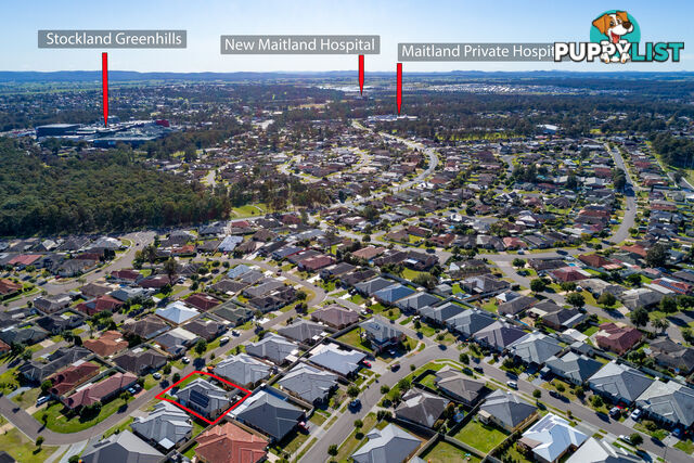 31 Carnarvon Circuit EAST MAITLAND NSW 2323