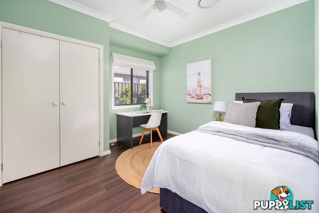 31 Carnarvon Circuit EAST MAITLAND NSW 2323
