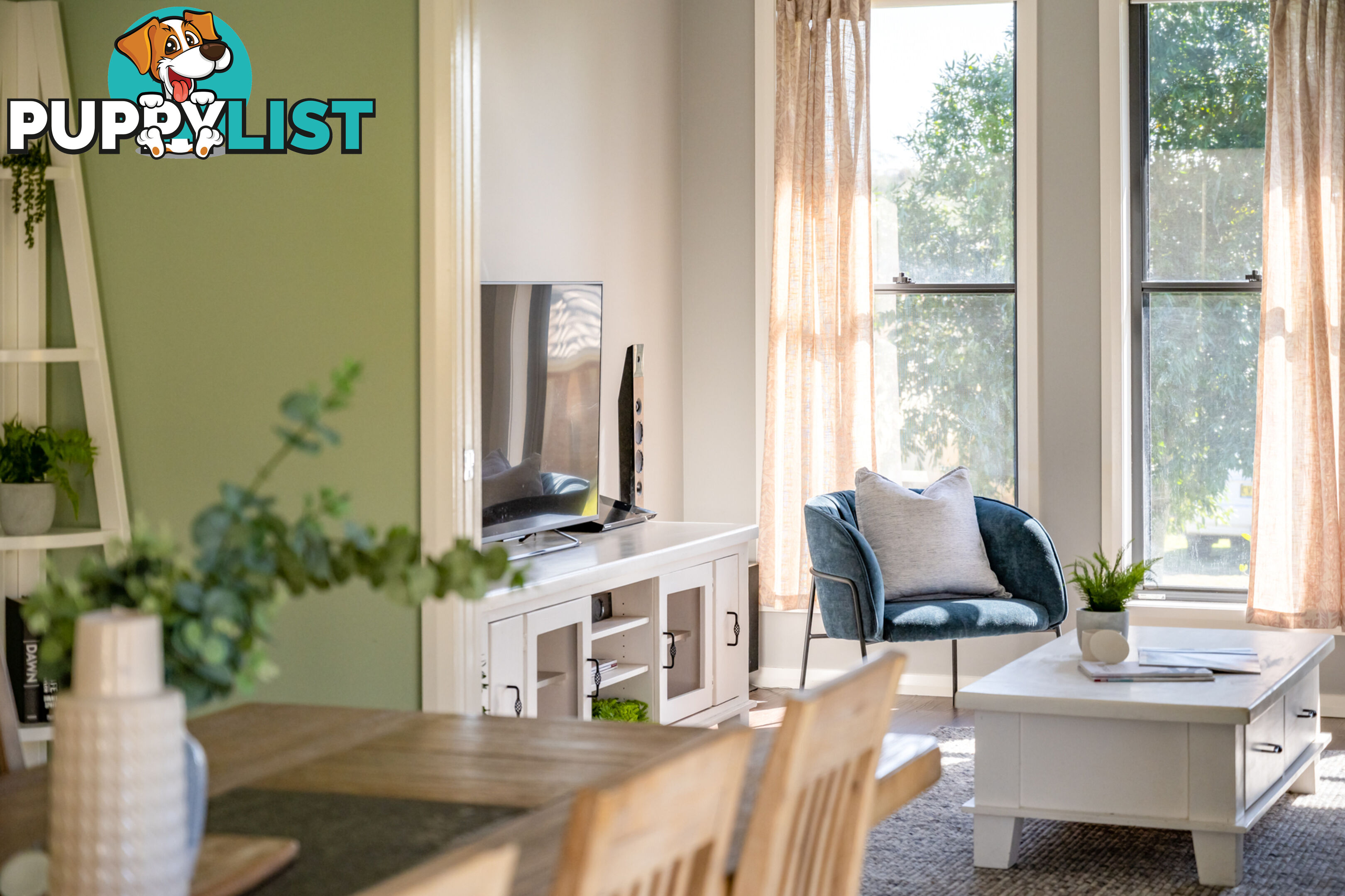 31 Carnarvon Circuit EAST MAITLAND NSW 2323
