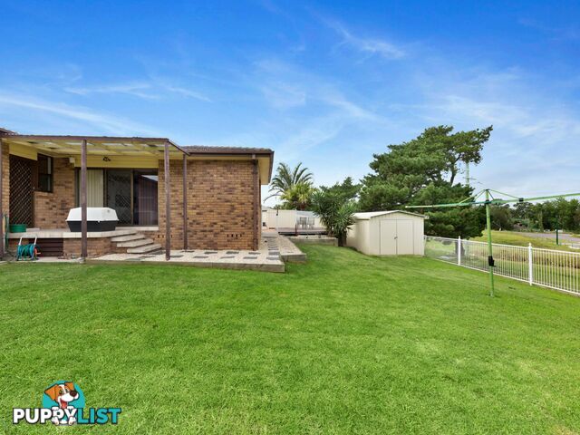 171 Regiment Road RUTHERFORD NSW 2320