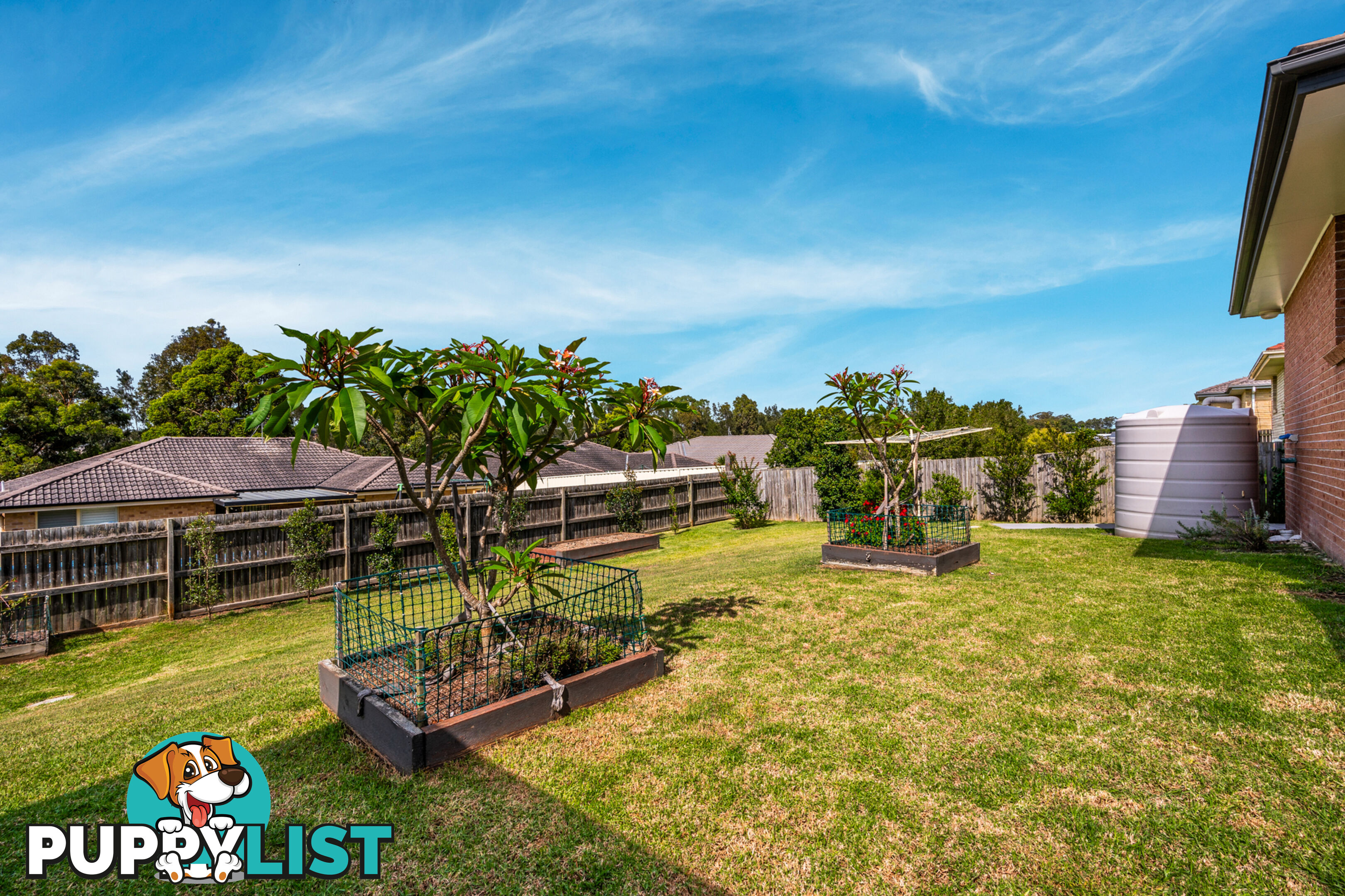 65 Birch Grove ABERGLASSLYN NSW 2320