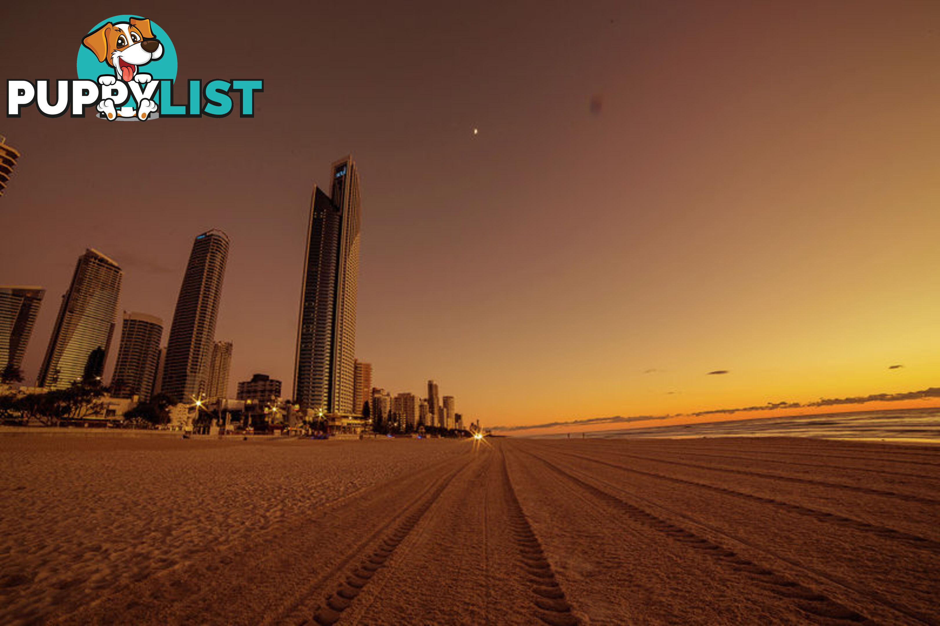 10 Albert Ave BROADBEACH QLD 4218