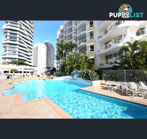 1107/24 Queensland Avenue BROADBEACH QLD 4218