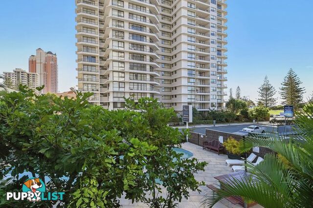 201/8 Albert Avenue BROADBEACH QLD 4218