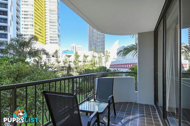 201/8 Albert Avenue BROADBEACH QLD 4218