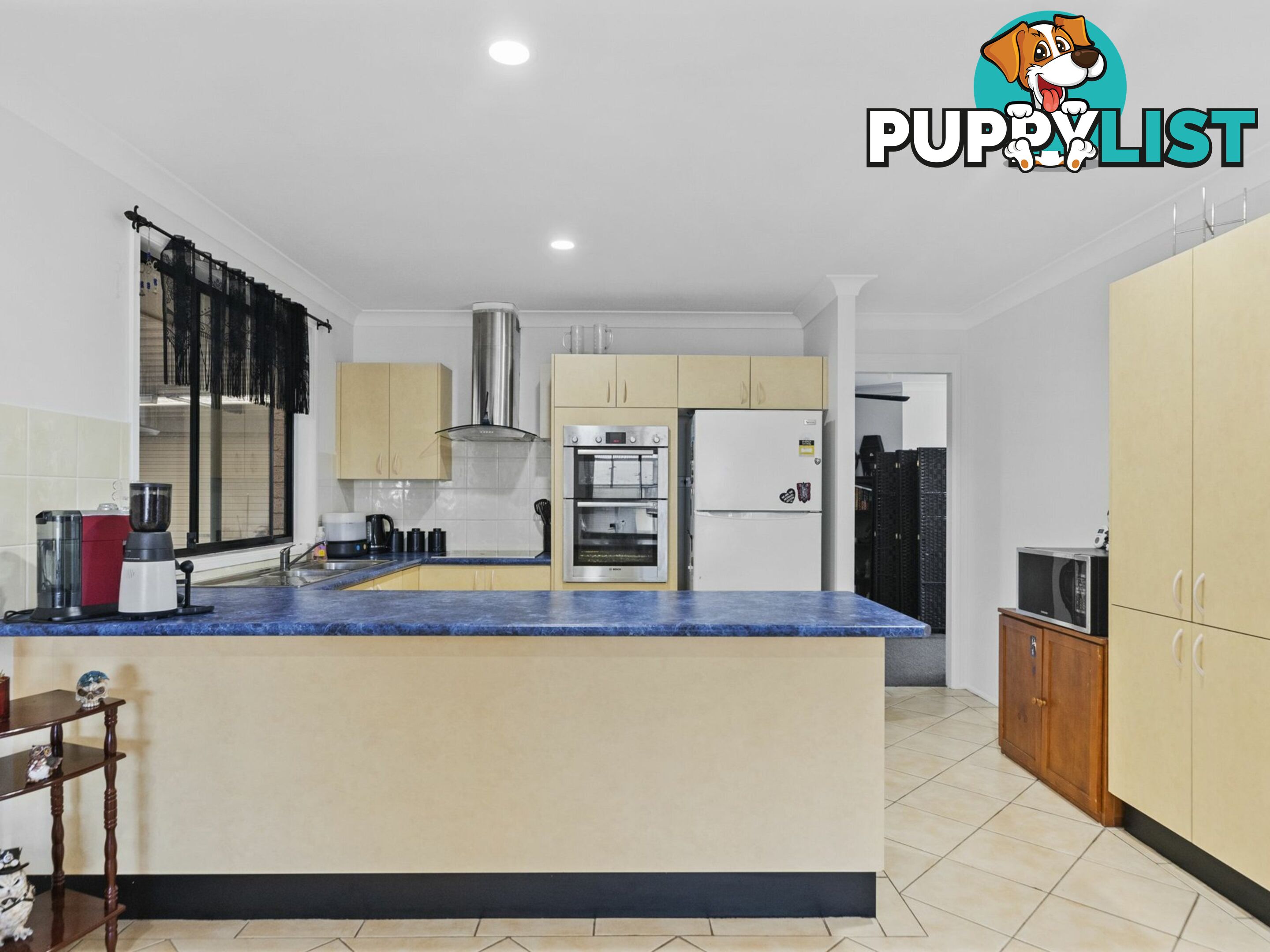 62 Taronga Avenue SAN REMO NSW 2262