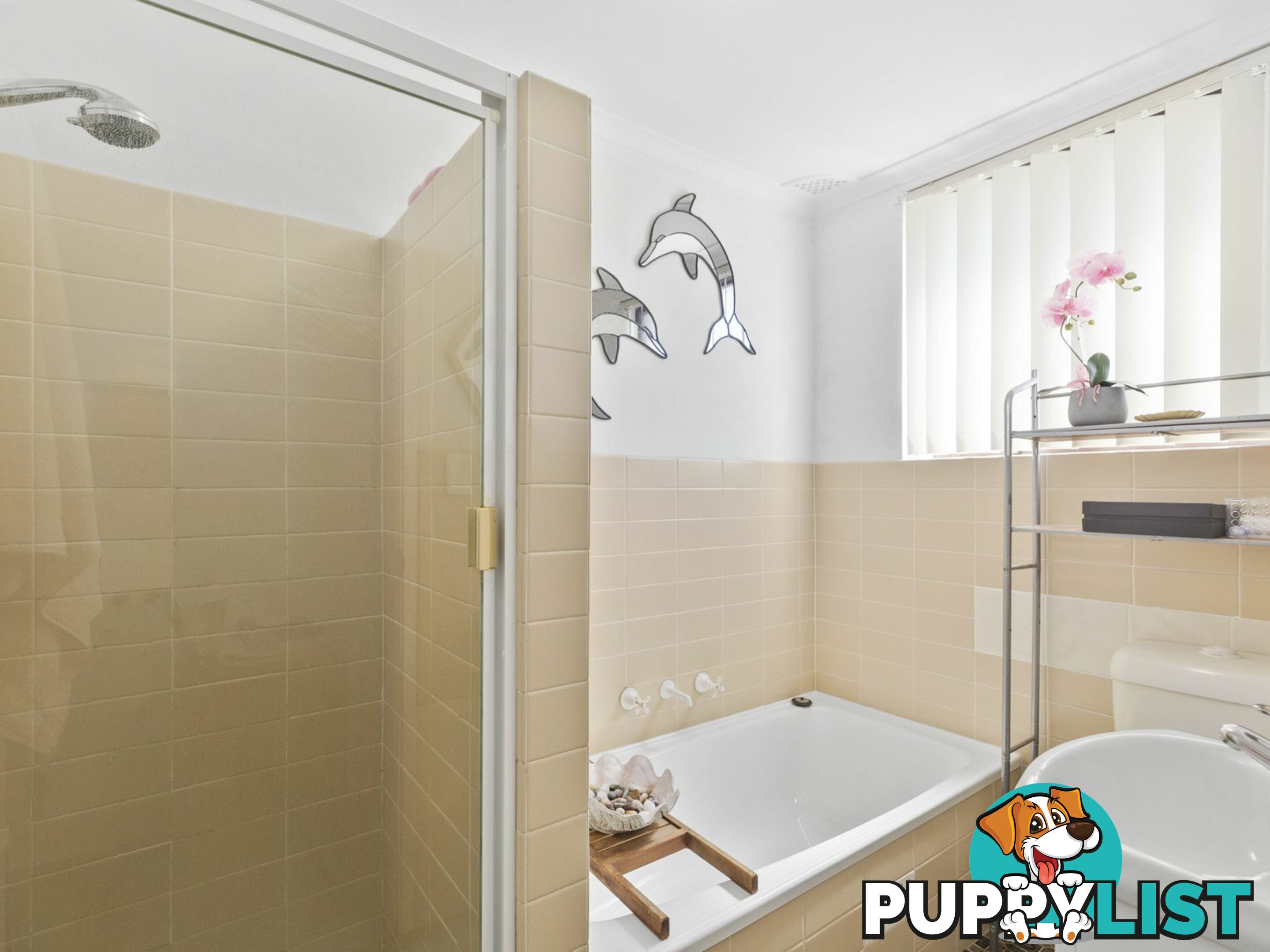 3/6 Lynch Crescent THE ENTRANCE NORTH NSW 2261