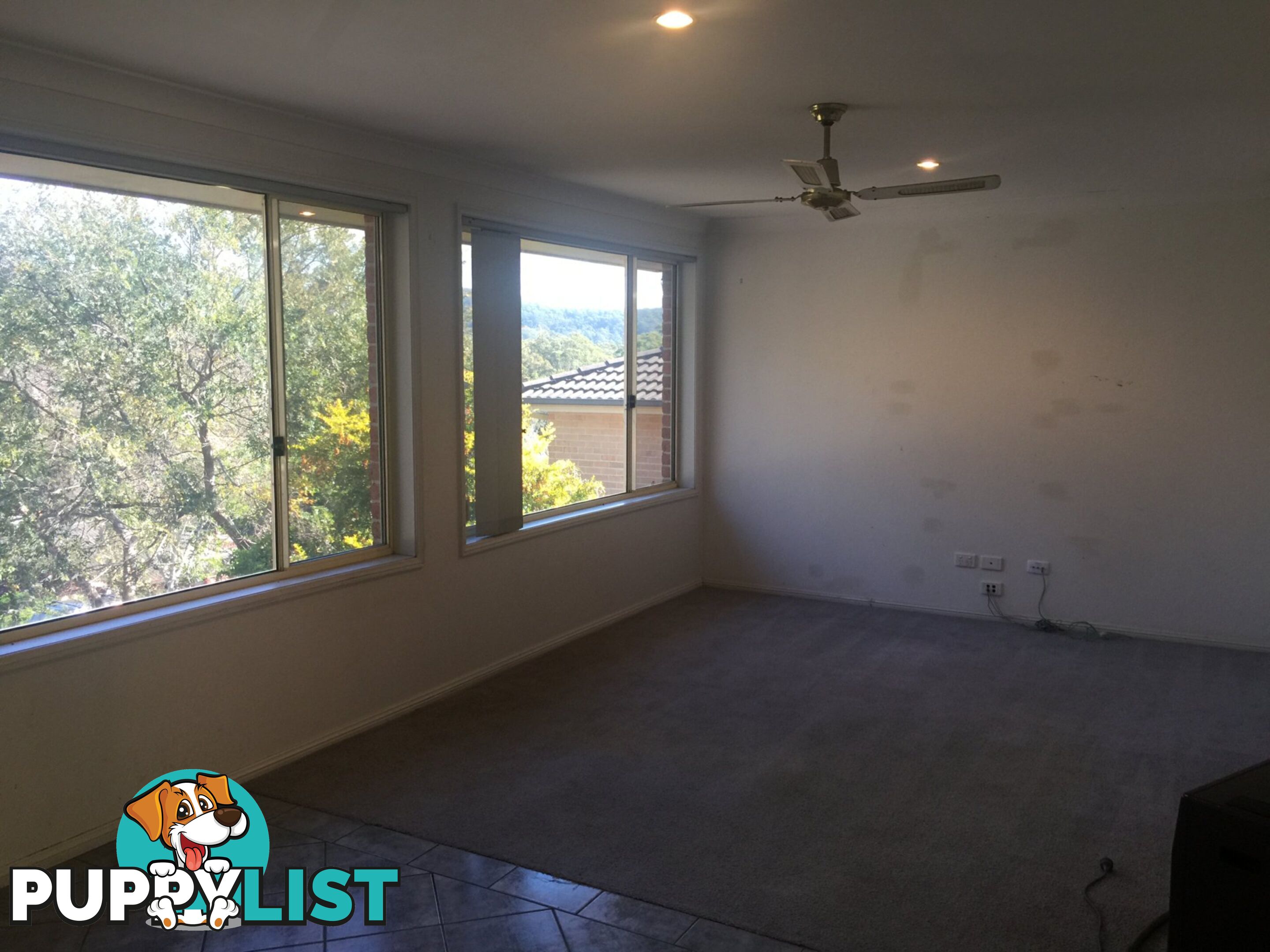 38 Molsten Avenue TUMBI UMBI NSW 2261