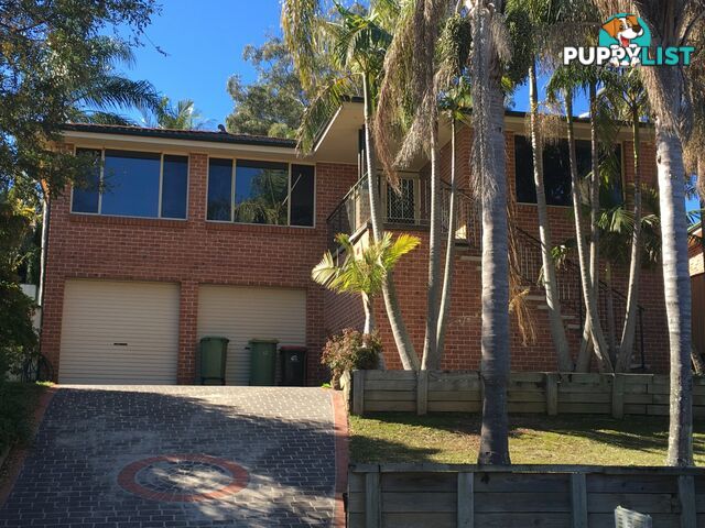 38 Molsten Avenue TUMBI UMBI NSW 2261