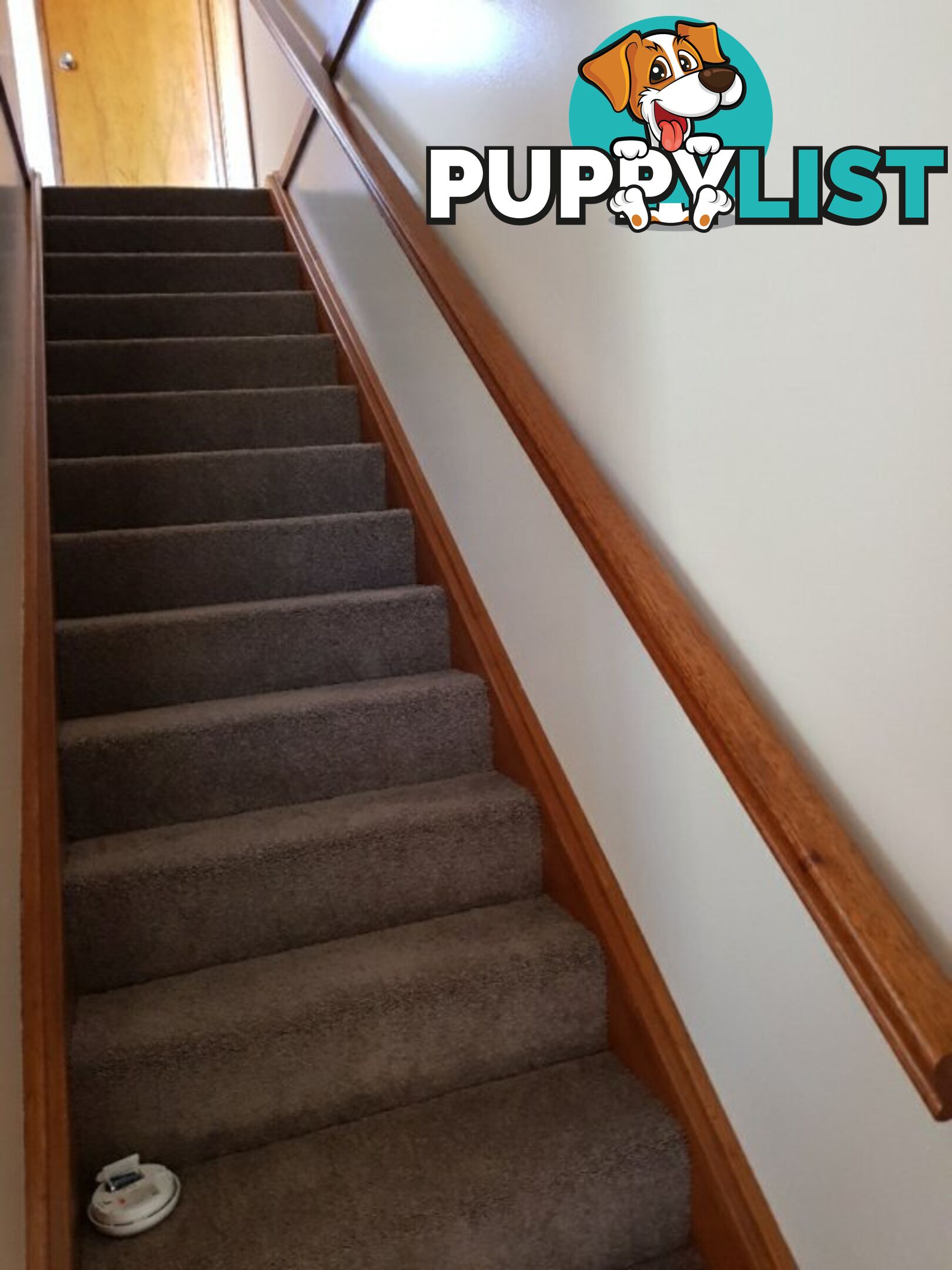 1/68 Lumby Drive BATEAU BAY NSW 2261