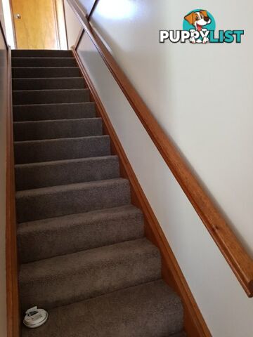 1/68 Lumby Drive BATEAU BAY NSW 2261