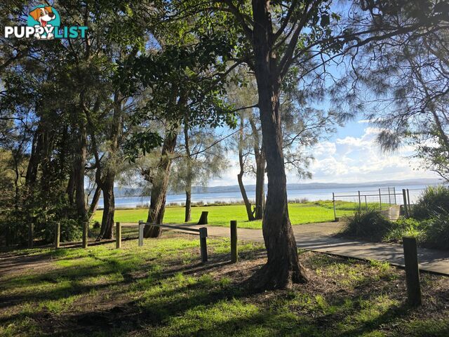 1/91 Tuggerah Parade LONG JETTY NSW 2261