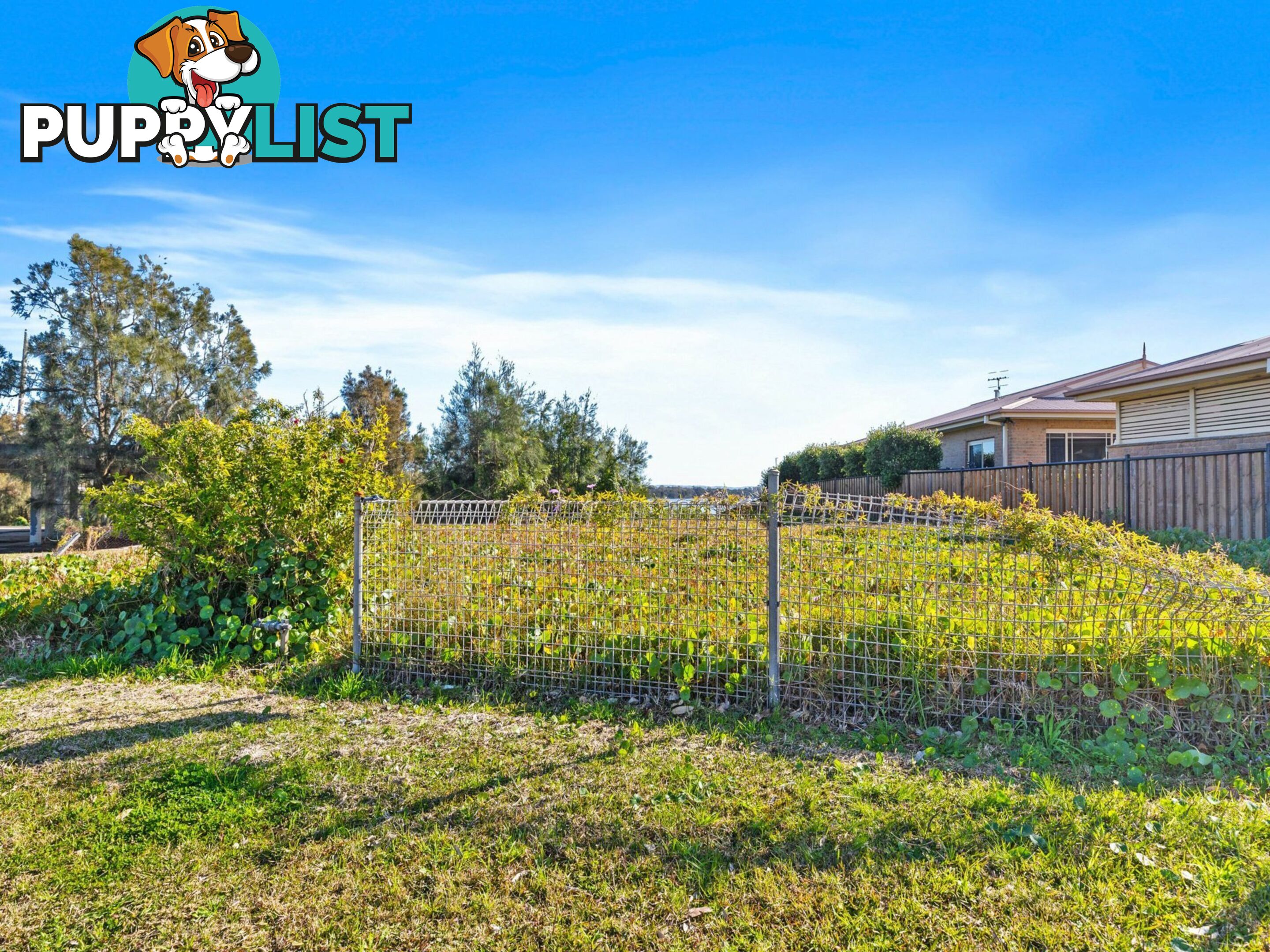 4 Main Road TOUKLEY NSW 2263