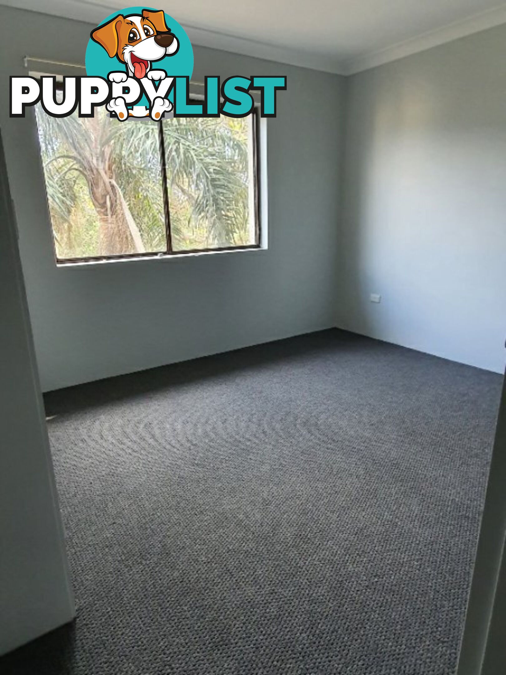 7/50 Thelma Street LONG JETTY NSW 2261