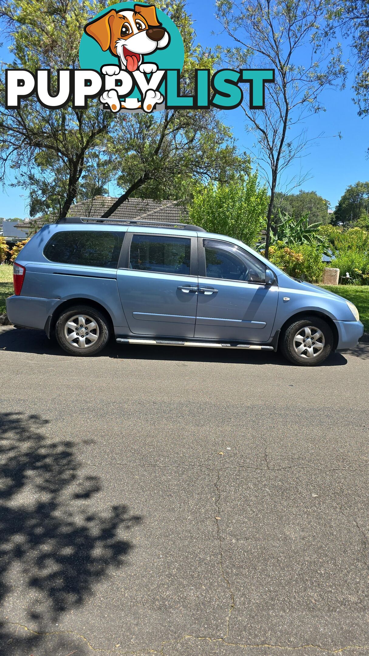 2008 Kia Carnival Wagon Automatic