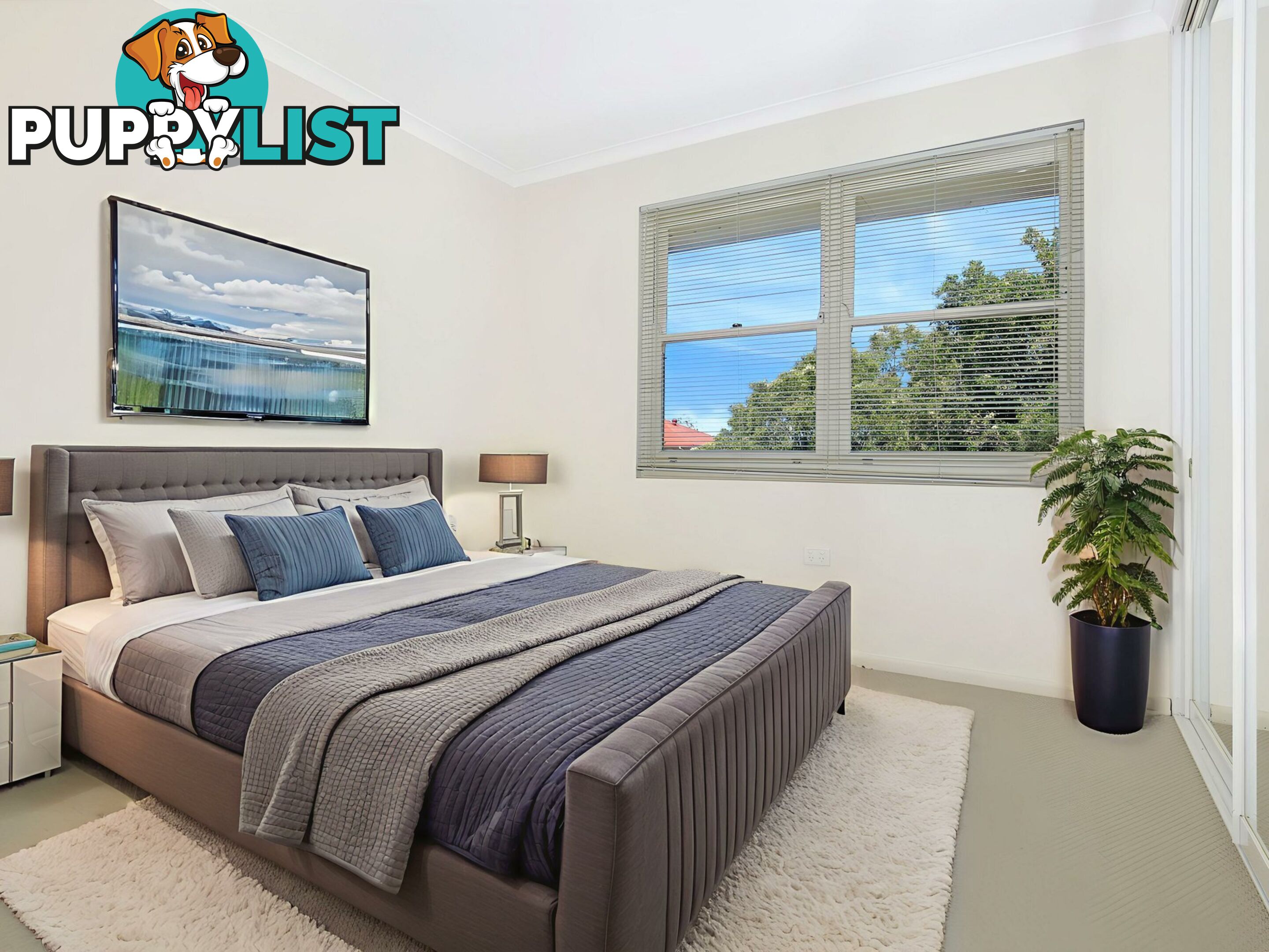 8/24 Sheppard Street WEST WOLLONGONG NSW 2500