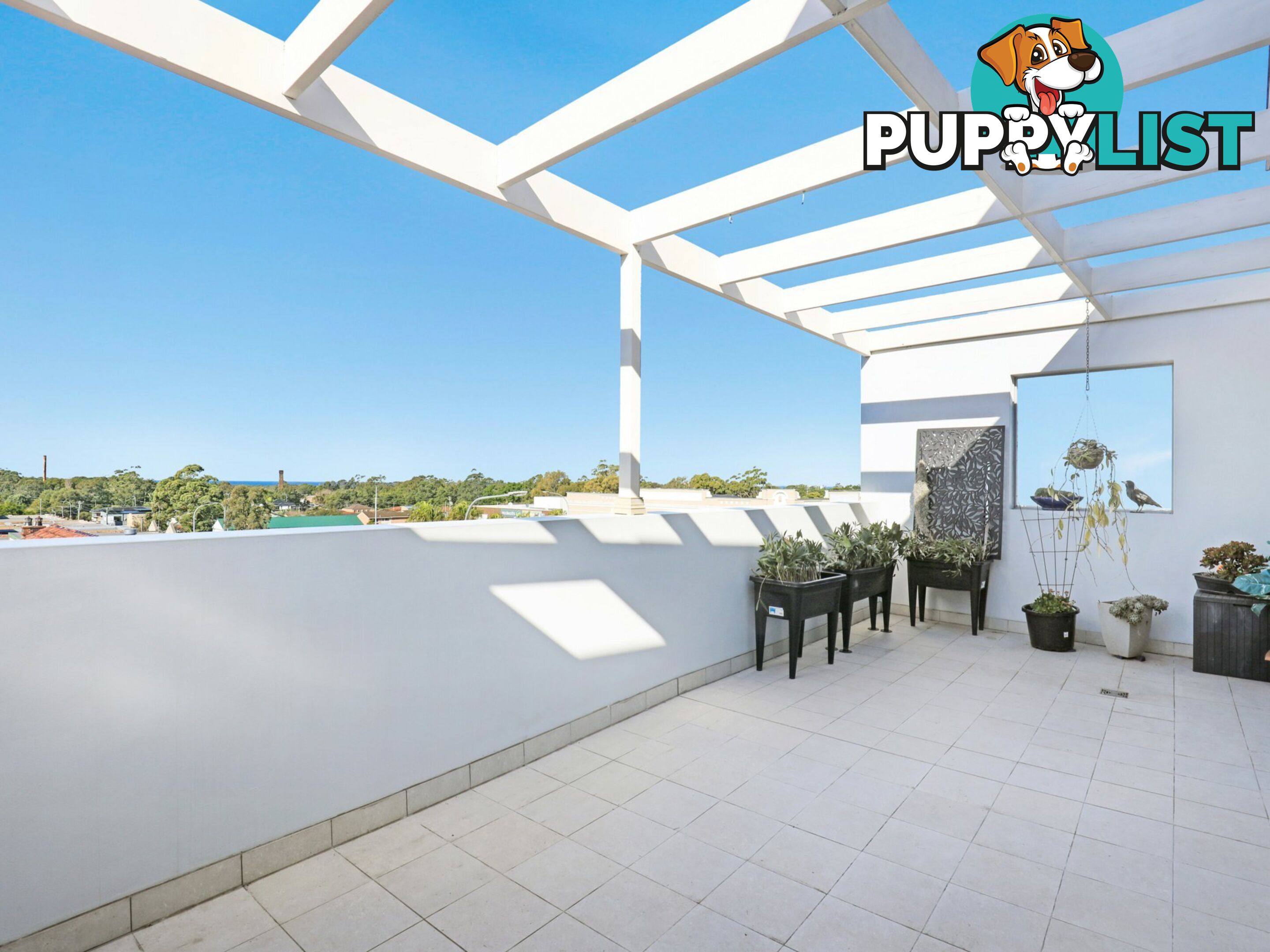 19/225-231 Princes Highway CORRIMAL NSW 2518